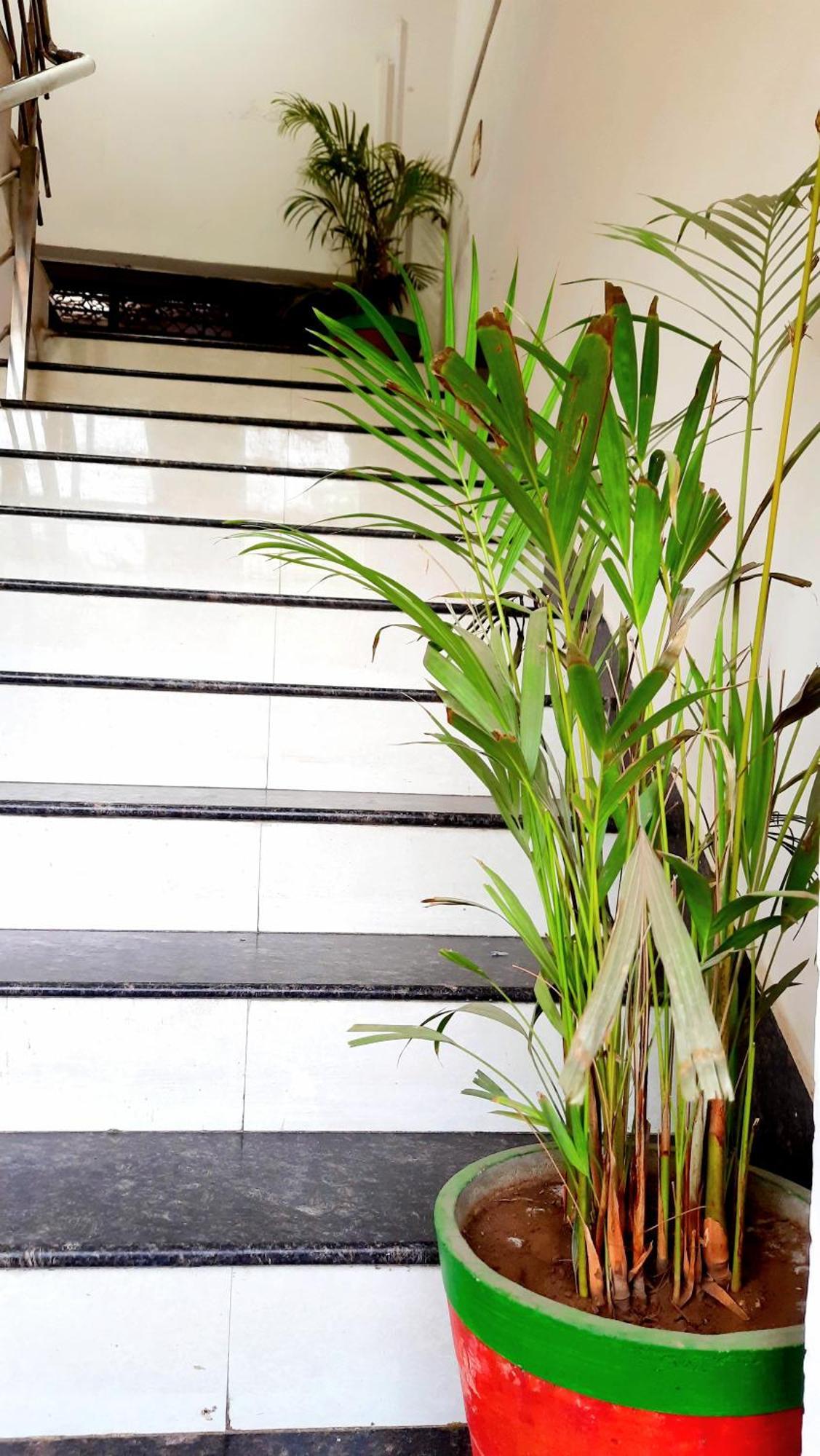 Hotel Season Ahmadabad Zewnętrze zdjęcie
